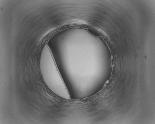 X0000067491112200604070946