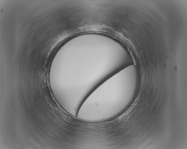 X0000067491166200604070945