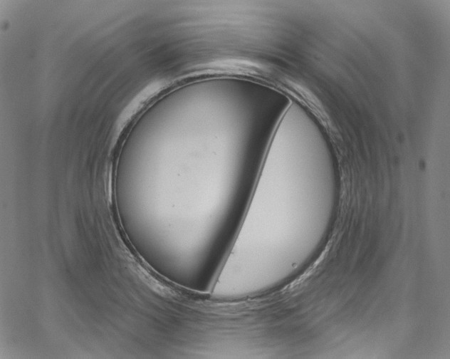 X0000067491180200604070945