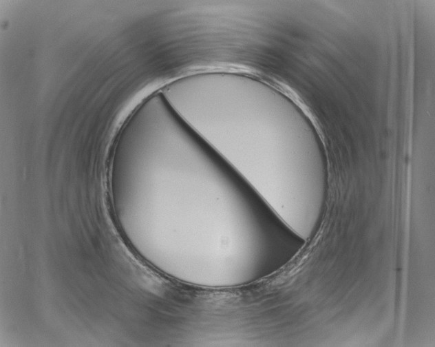 X0000067491187200604070945