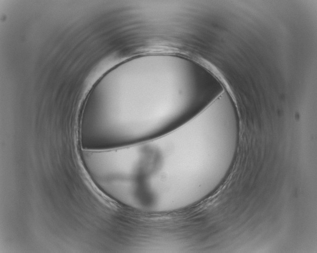 X0000067491195200604070945