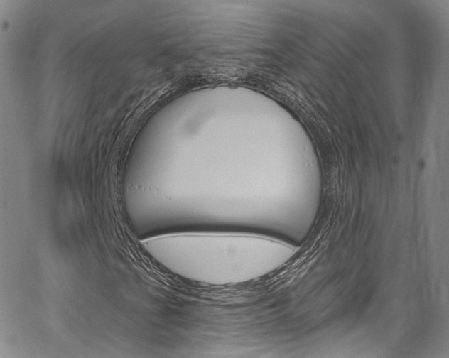 X0000067491201200604070944