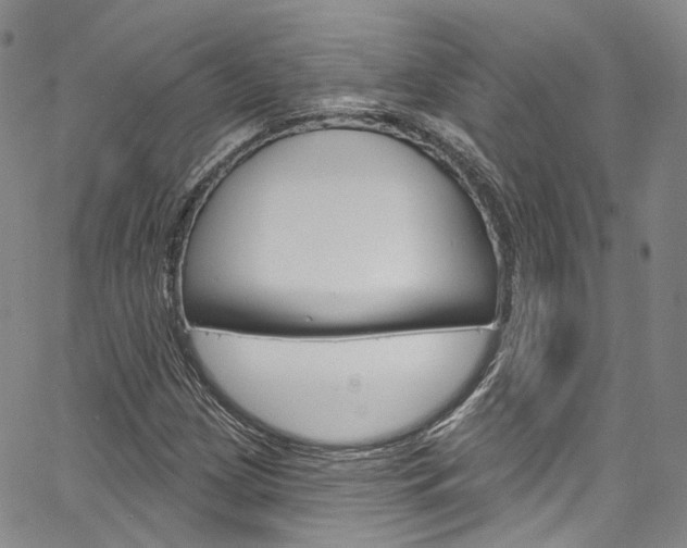 X0000067491209200604070944