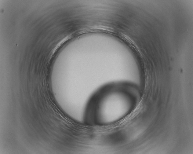 X0000067491210200604070944