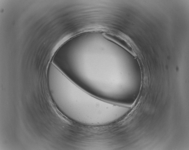 X0000067491242200604070945