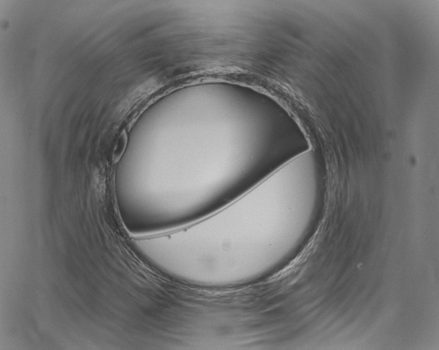 X0000067491257200604070944