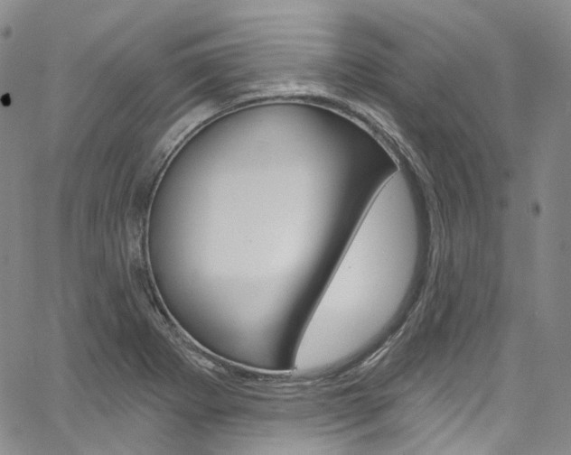 X0000067491273200604070944