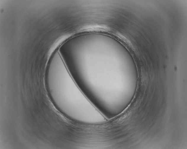 X0000067491277200604070943