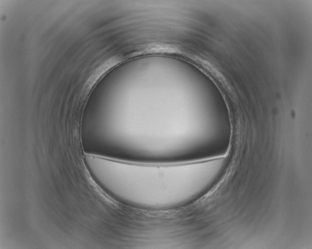 X0000067491281200604070943