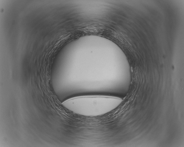 X0000067491297200604070942