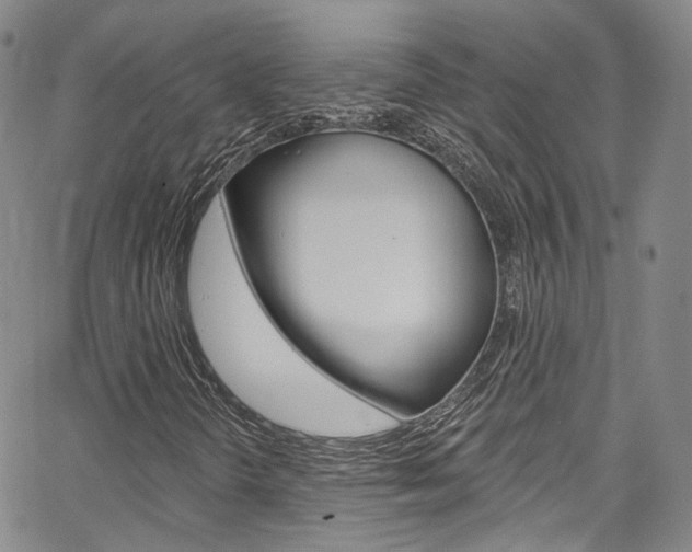 X0000067491298200604070942