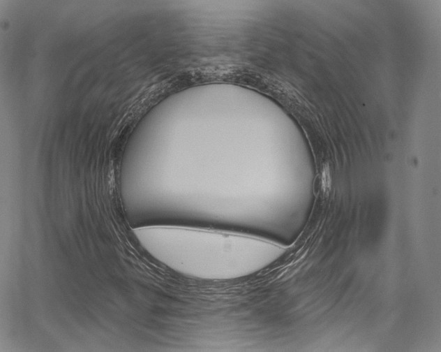 X0000067491299200604070942