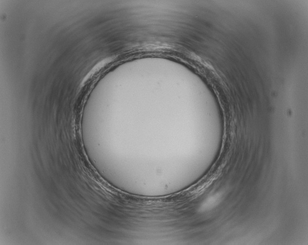 X0000067491306200604070943