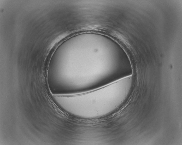 X0000067491308200604070943