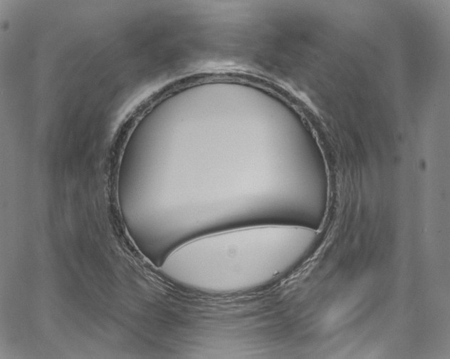 X0000067491311200604070943