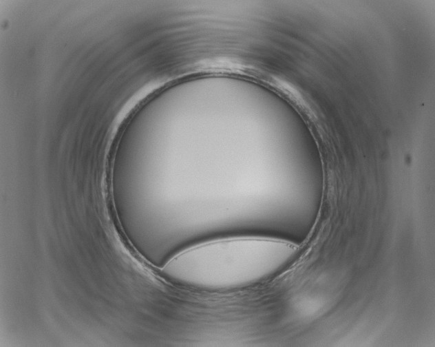 X0000067491331200604070943