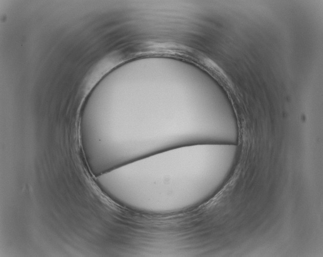 X0000067491370200604070942