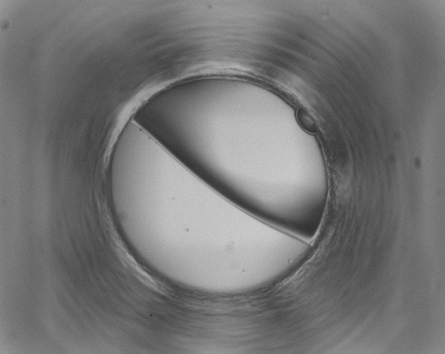 X0000067491371200604070942