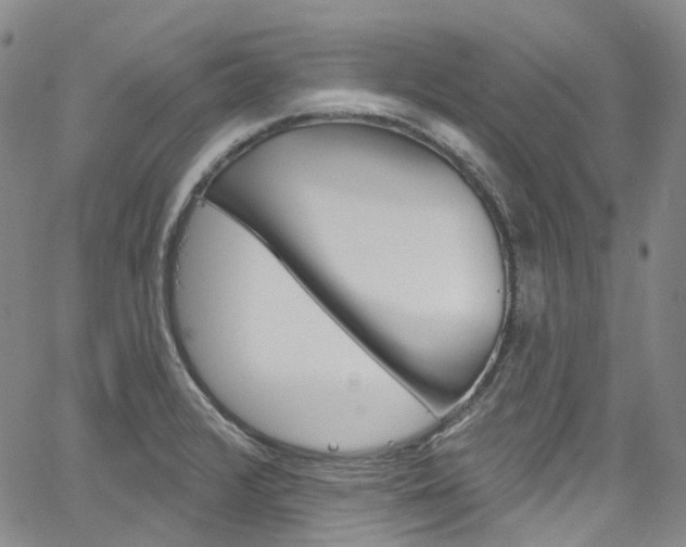X0000067491376200604070942