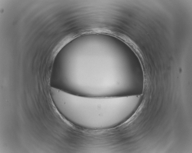 X0000067491385200604070942