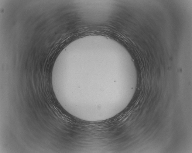 X0000067491394200604070941