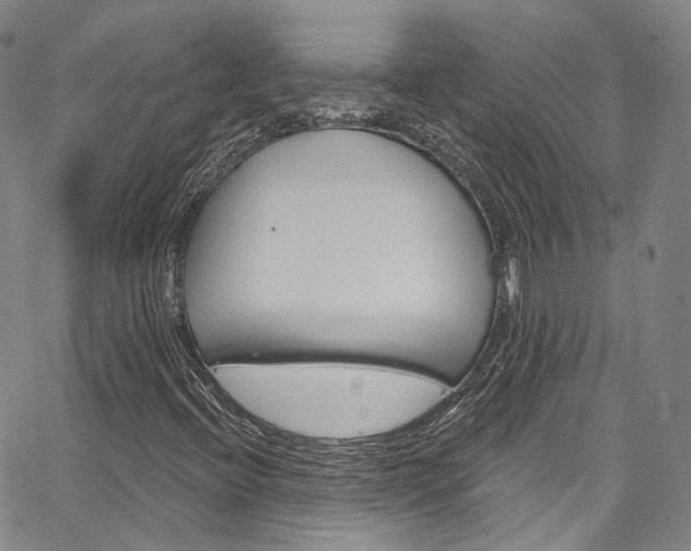 X0000067491396200604070941