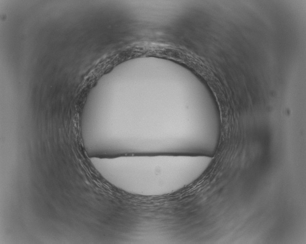 X0000067491397200604070941