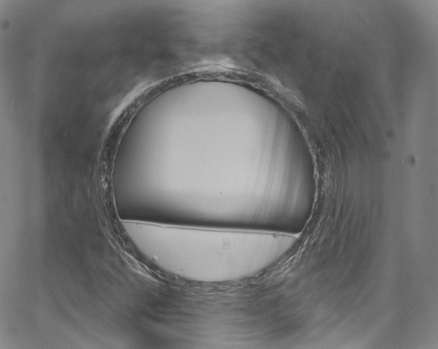 X0000067491400200604070941