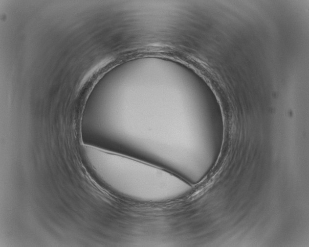 X0000067491402200604070941