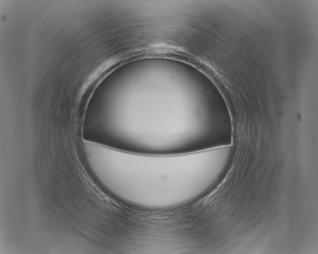 X0000067491410200604070941