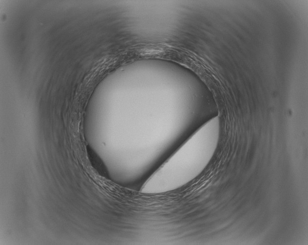 X0000067491441200604070941