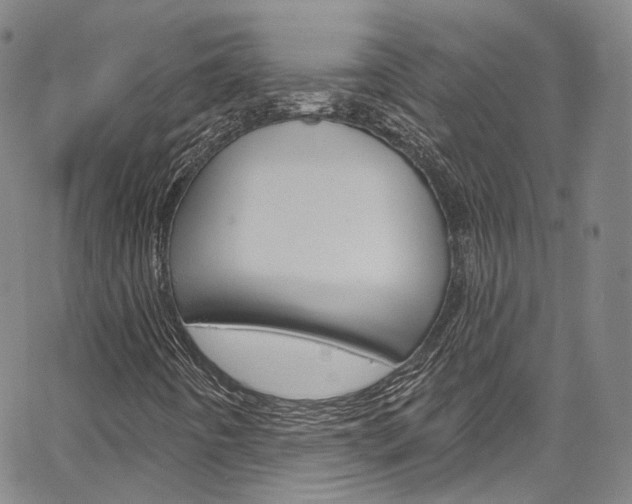 X0000067491442200604070941