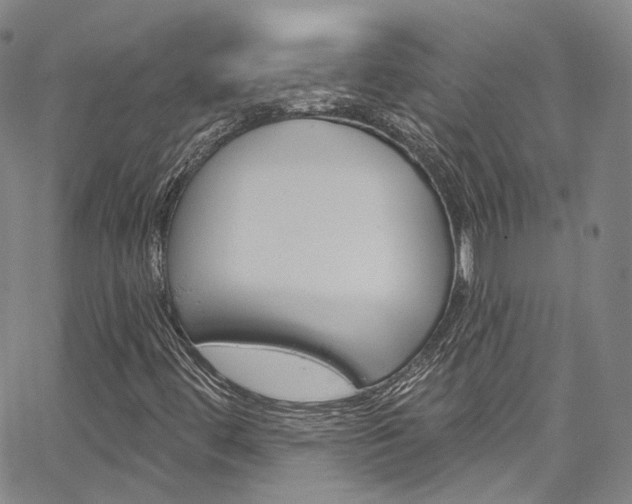 X0000067491444200604070941