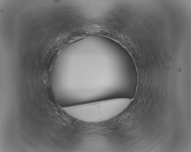 X0000067491445200604070941