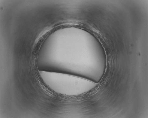 X0000067491448200604070941