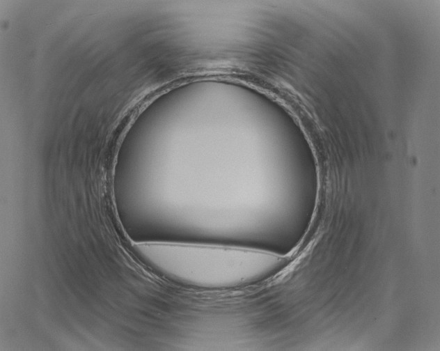 X0000067491449200604070941