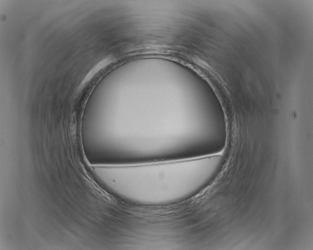 X0000067491450200604070941