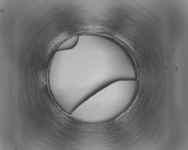 X0000067491451200604070941