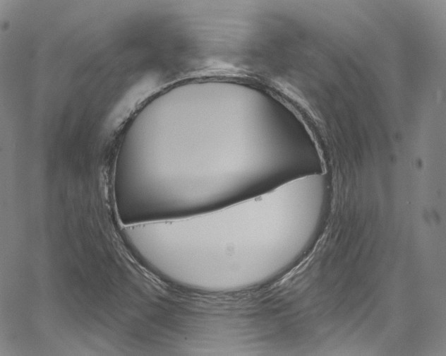 X0000067491455200604070941