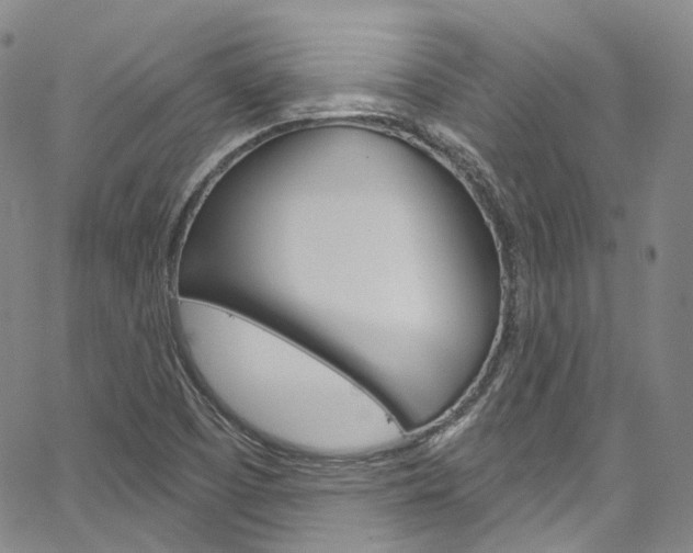 X0000067491457200604070941