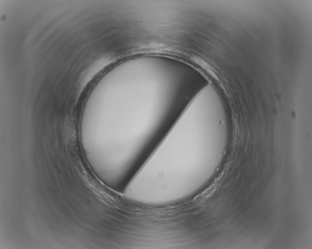 X0000067491458200604070941