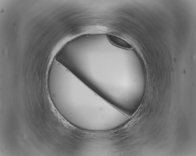 X0000067491488200604070940