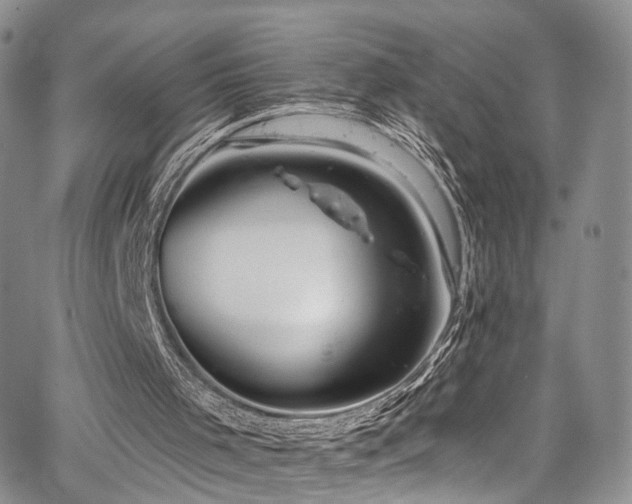 X0000067490001200604071216