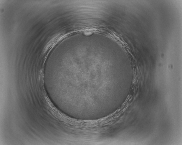 X0000067490002200604071216