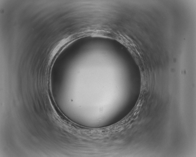 X0000067490003200604071216