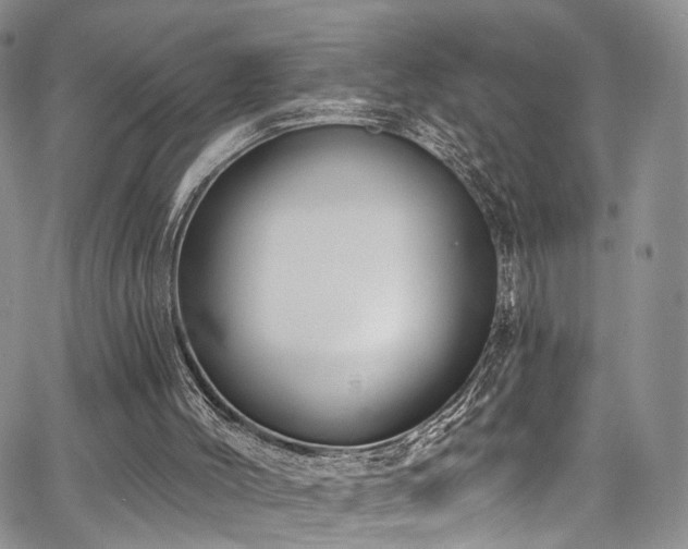 X0000067490004200604071216