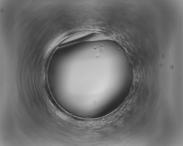 X0000067490005200604071216