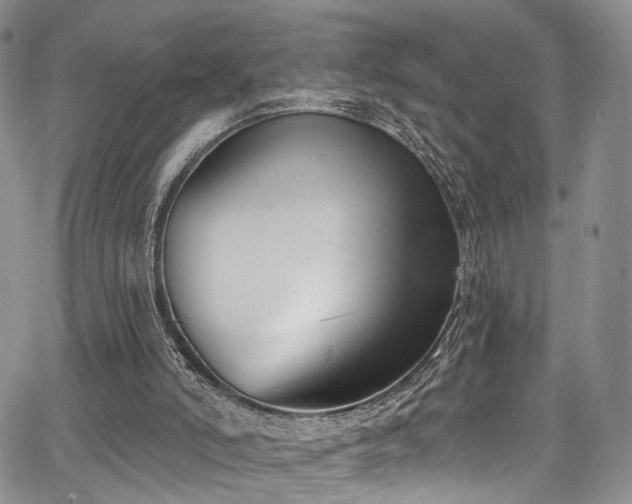 X0000067490006200604071216