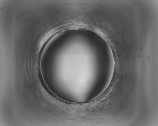 X0000067490007200604071216