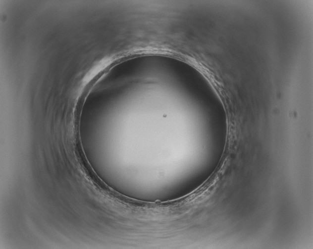 X0000067490008200604071215